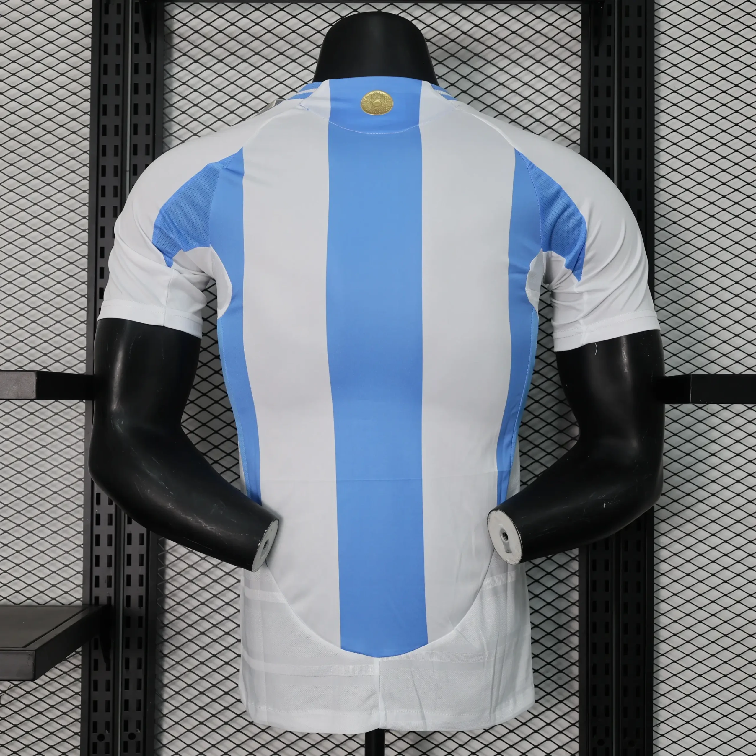 Selección Argentina 2024