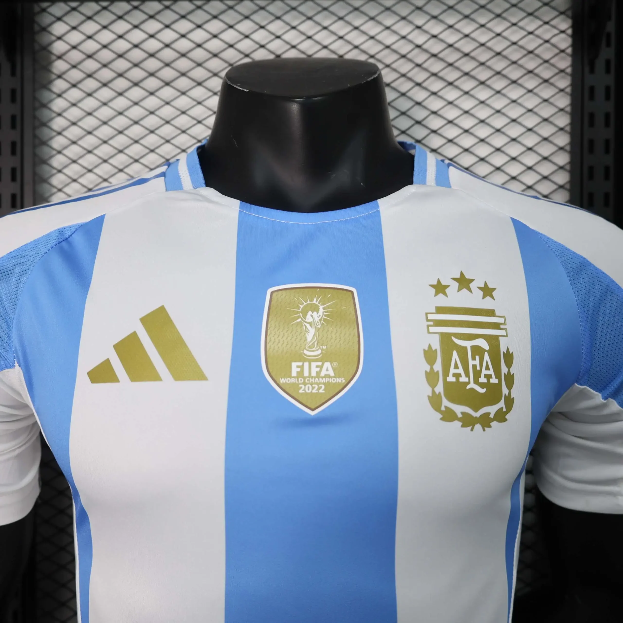 Selección Argentina 2024