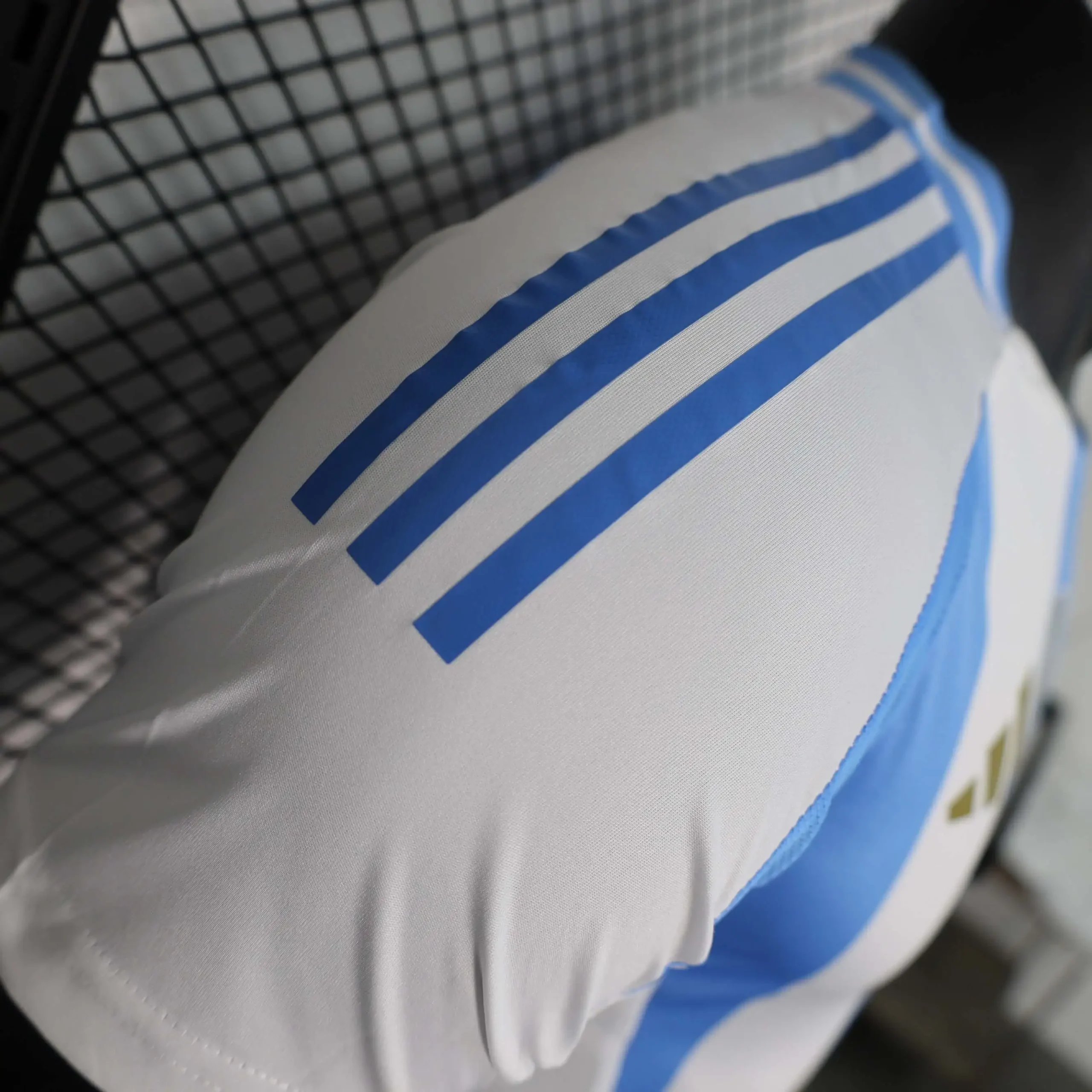 Selección Argentina 2024