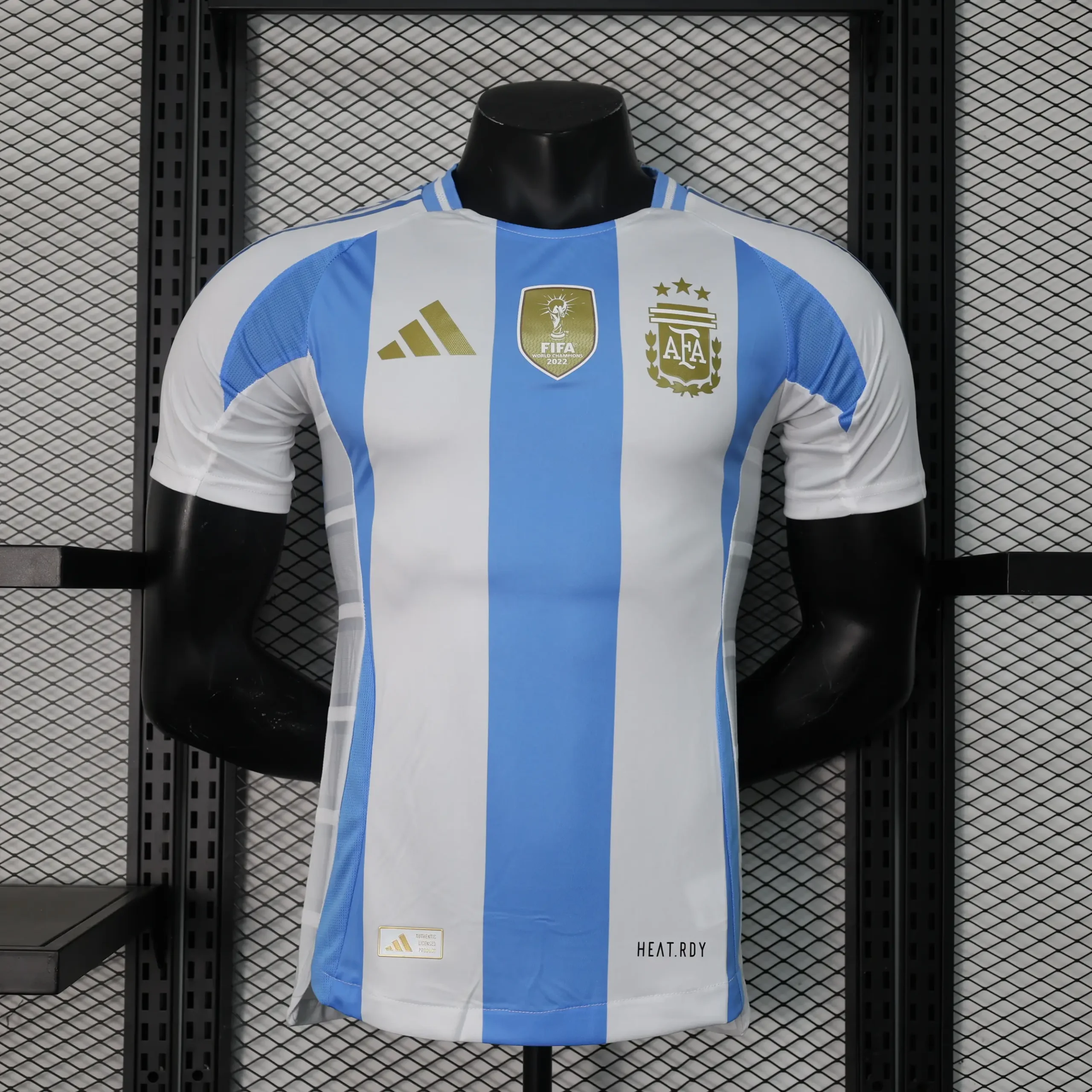 Selección Argentina 2024